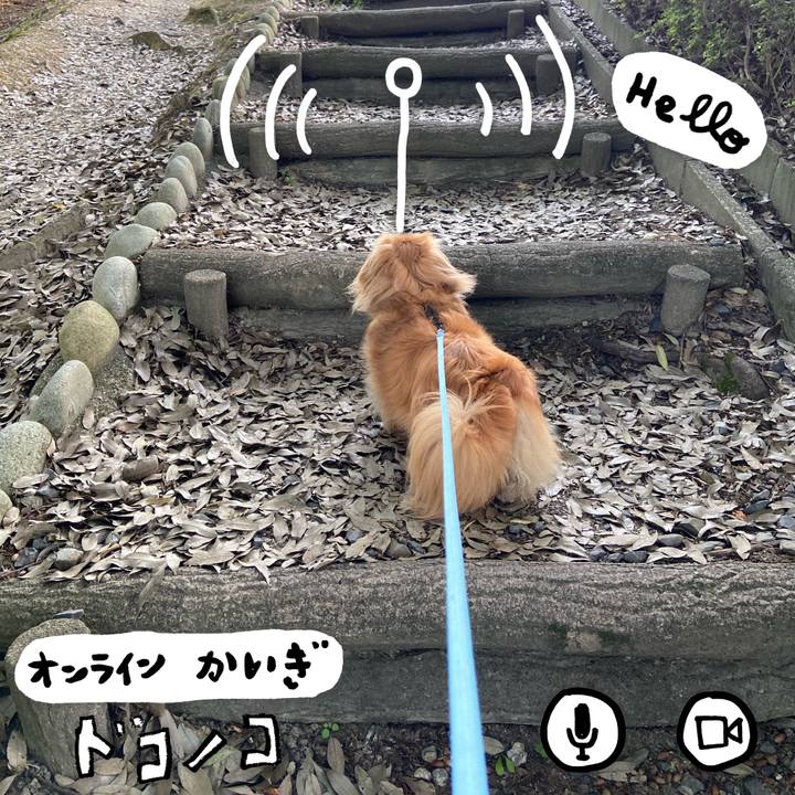 E150a4f2 5fda 4ec3 9dd6 3f3414b22259 1591398074697