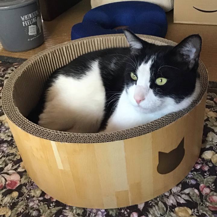 E150af96 1a46 42ab 89ba 8fefdffa52e2 1745741168914