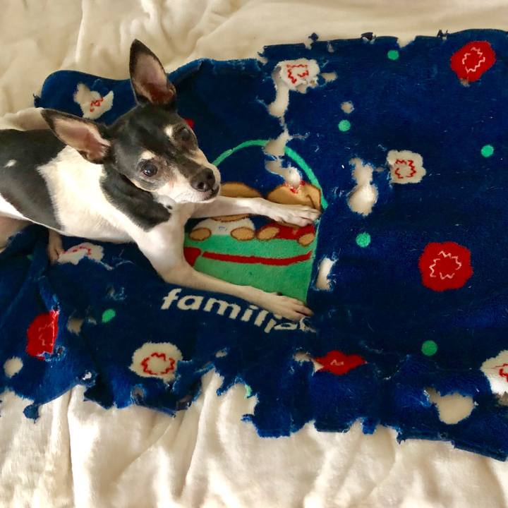 E150dba8 930e 4e6f 8cbe edd2f2cf2132 1549789019359