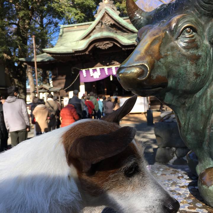 E1510c93 236c 4b5c ab9a 7e96e97ebfae 1641773648583