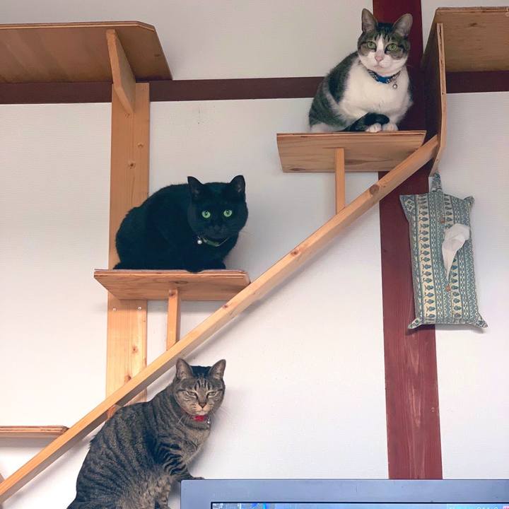 E1512a8f aa29 4a8d 8627 1a2f1e603ec4 1579089774394