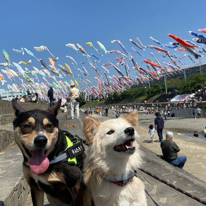 E15141c2 eb54 4719 b694 e29d10c28932 1651663882472