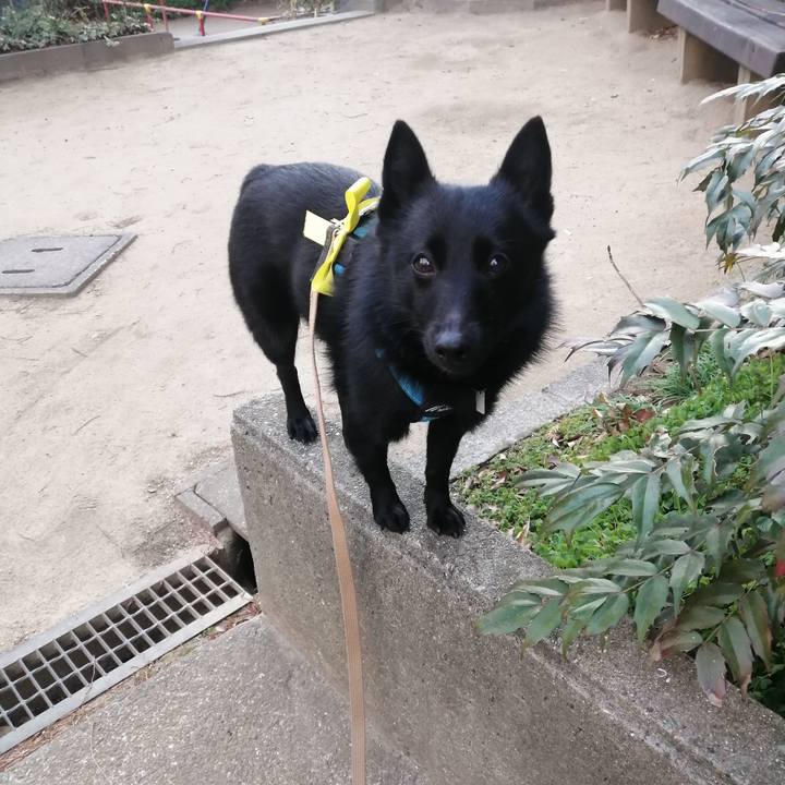 E15196cc 72c5 4b79 b6de 092826fd954c 1642232268937