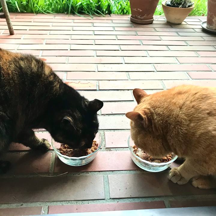 E151981d 0622 4097 a181 666086ee4e23 1617439375824