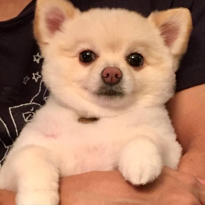 E151c2b0 dbd6 46c3 835b 698baf21d001 1599997181475