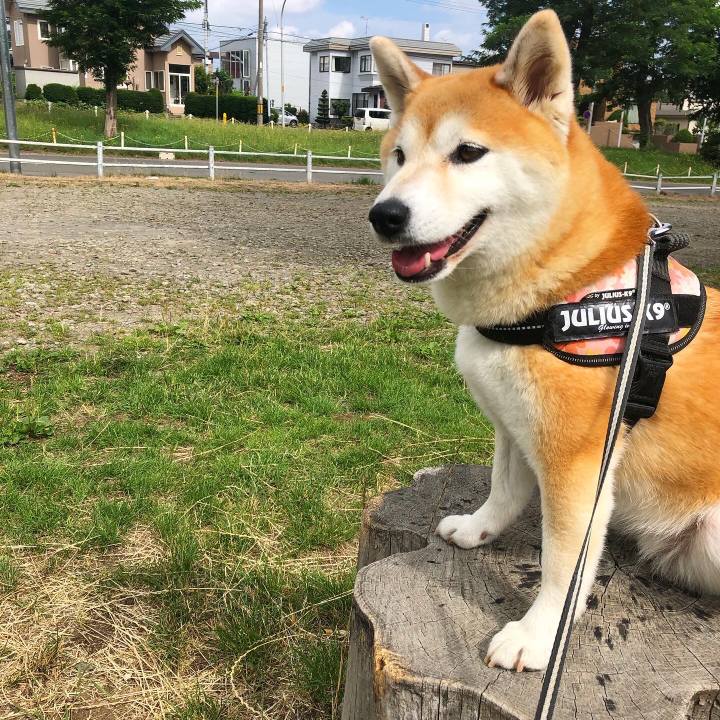 E151d0f4 d997 427e b3a9 8856f6d199a3 1594862096879