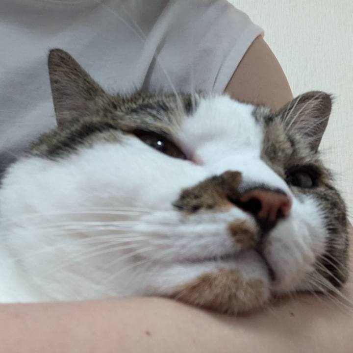 E1521bbc 7151 4cc4 8037 7c4a46ef92fb 1726542355666