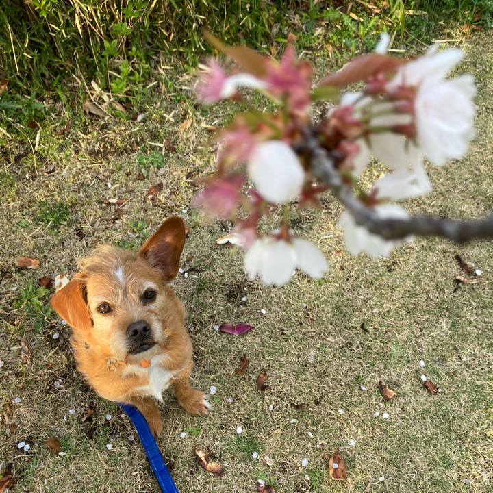 E1523bed c580 42f6 b5ba 52fc0696259e 1648803298851