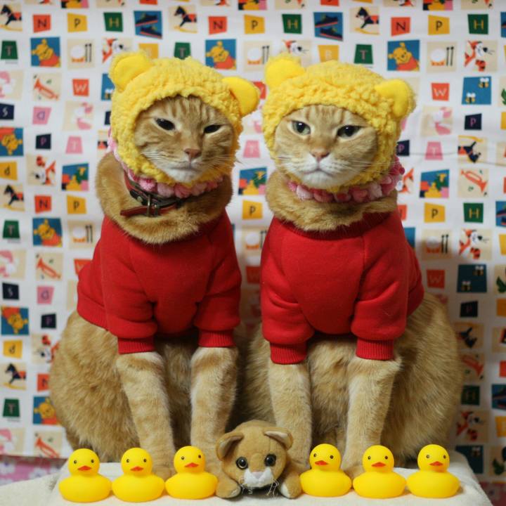 E1526664 abdb 47f1 ad95 cd5fe4482173 1516802724207