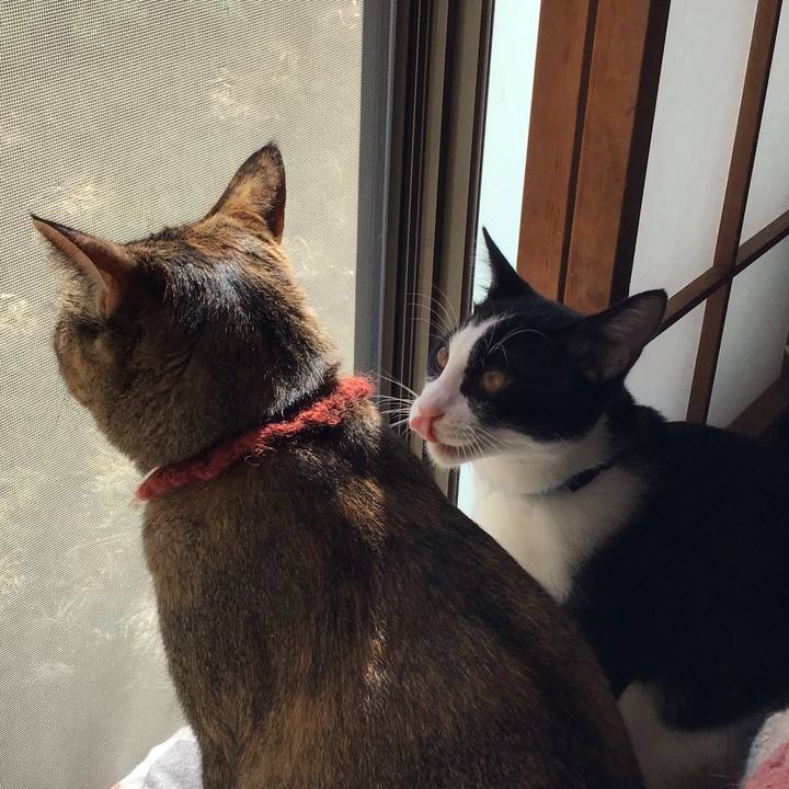 E1529267 93b8 4bec a5c5 e1f713224702 1633309067010