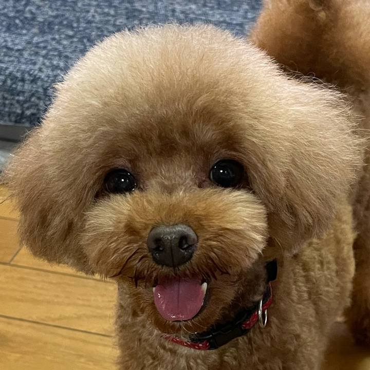 E152af60 f023 4d1e 8aff a2a144a53580 1621743798245