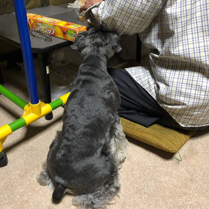 E152be74 129f 4f24 863d b21ba7db4dea 1652452458986