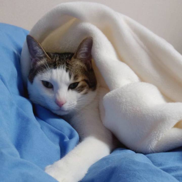 E152c0a8 4133 426e abde 45578f06cac9 1699436016734