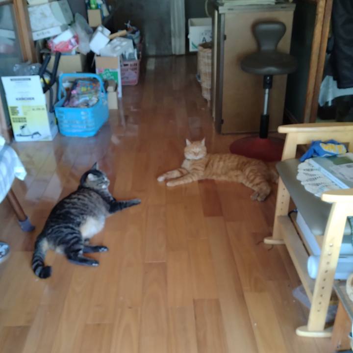 E152d0dc 2d54 461c ad0c 5f8aed0668d8 1718878631712