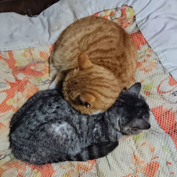 E152e01c e0c1 4890 b2fd 4eff96872281 1578399236904