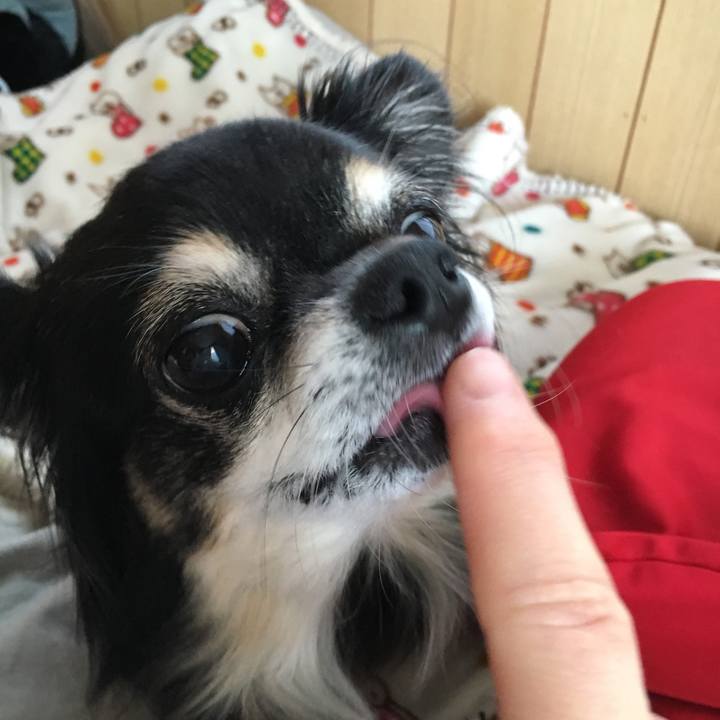 E152e14f 6444 4da6 8085 8f0c88c9f53e 1511155905384