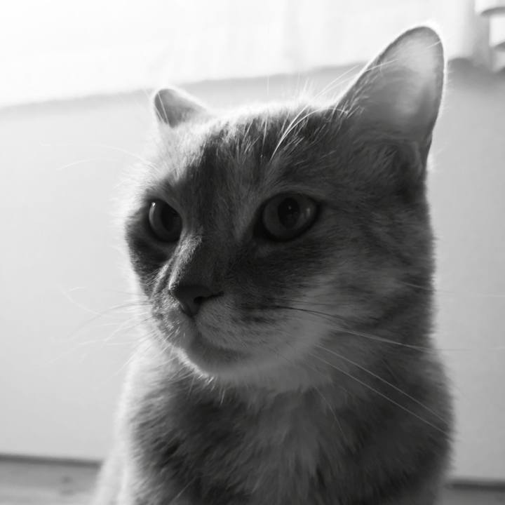 E152e435 7777 4f96 be77 92bf806cc1ae 1591486983307