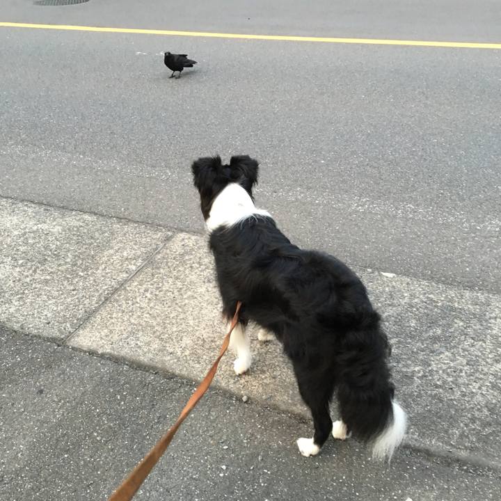 E152fd54 0b5d 4a40 a896 0168b41acedc 1532315799193