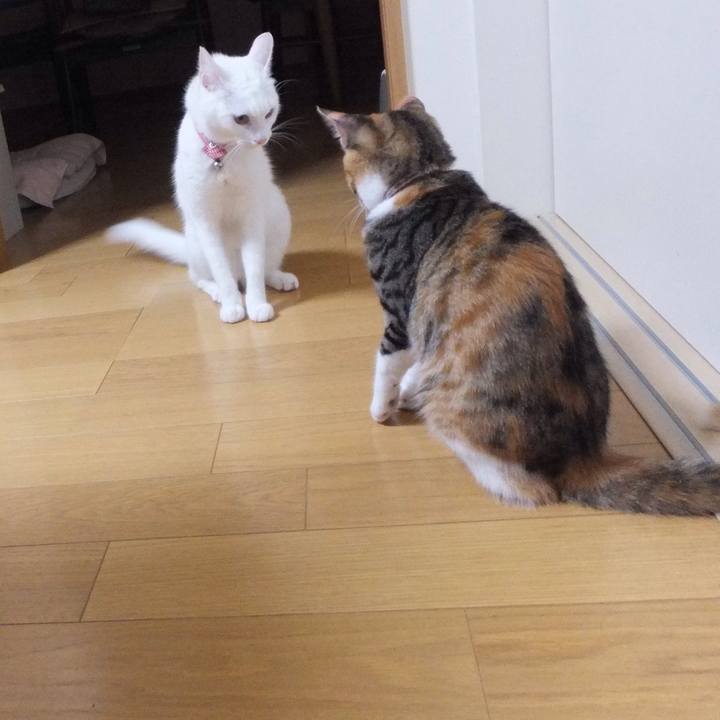 E1535d34 f700 48ba 8cd9 bfab5b556412 1632194382159