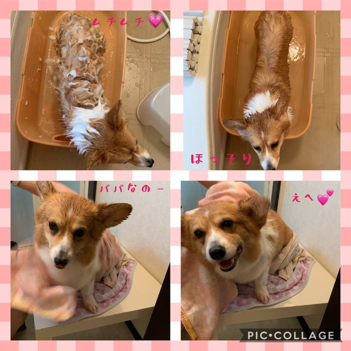 E1537b4b 73b5 4596 8a74 a31a7106f669 1590480555079