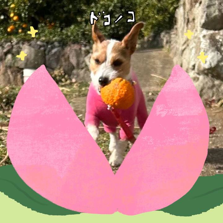 E153ac80 58f9 4f98 b362 50788ccf0c18 1772493909353