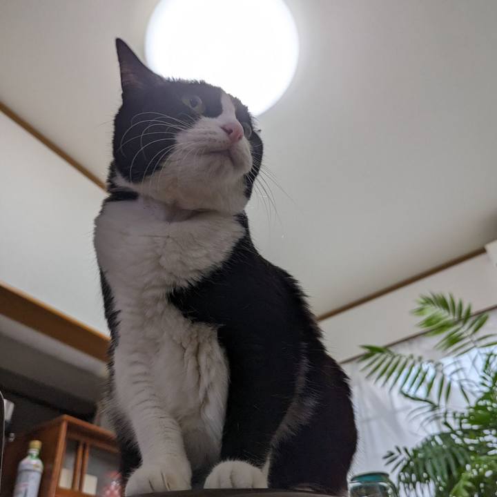 E153d82a ea0a 4fcf 9f3e 4a049d674a8c 1701056733885