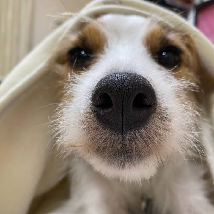 E153fd5a 0292 48e3 a740 bd16e3e5fa37 1696739336452