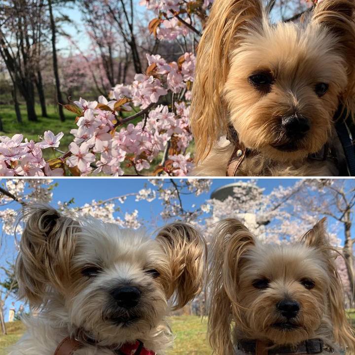 E15407d7 0d56 4902 8f86 ce7ab3f8e013 1557123426173