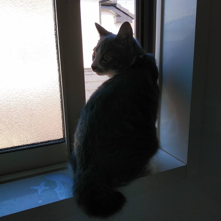 E1543ea0 768f 4dbd 8666 2839f85b5eac 1569541833817