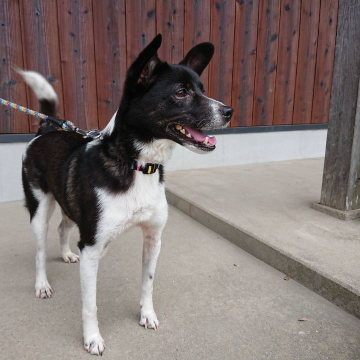 E1546281 7d69 4220 a135 4a8b7d3a2dd3 1561283109737