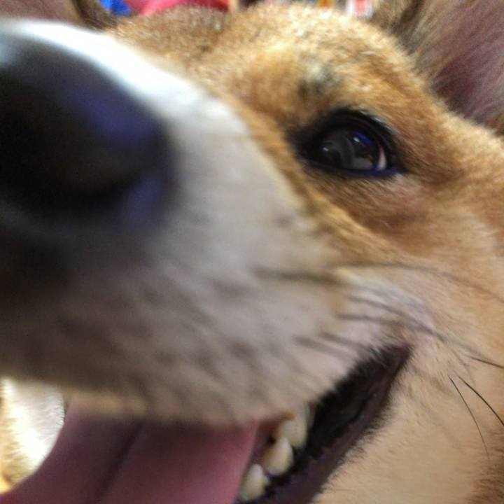 E1546ea6 b34c 4949 9f4b 7b7ea54d9d38 1537353179834