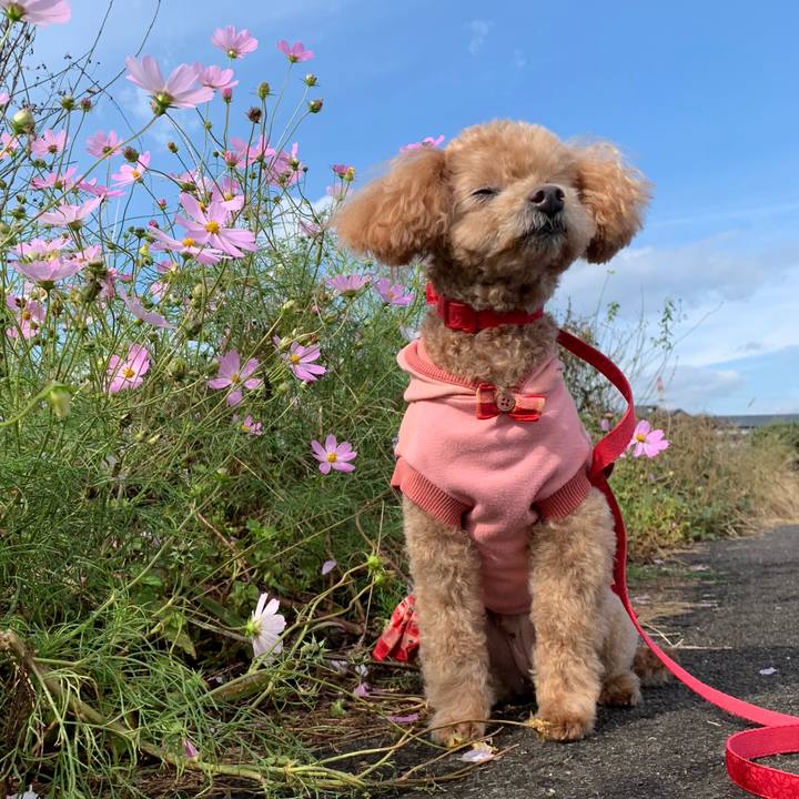 E1548428 4947 4f28 8390 df0d5570e8ea 1762340410715