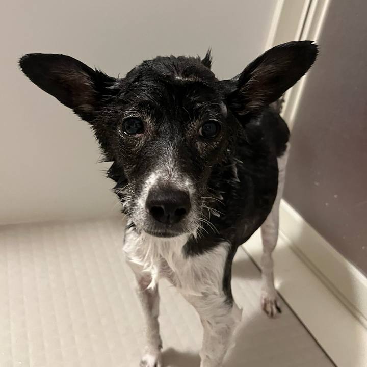 E15490c5 f594 4de0 9ce5 f43f0450d660 1726575175734