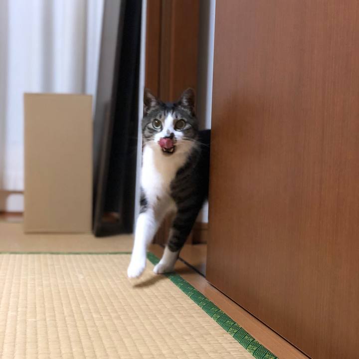 E154b379 1fa8 4d92 ac67 1fc269249b5b 1522069264827