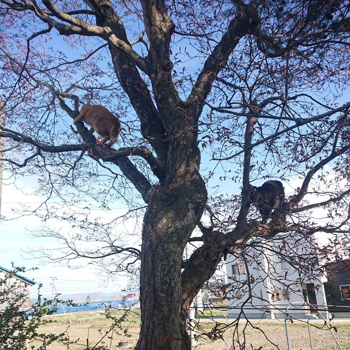 E154e09b af91 4e7c 906d 61bd584e1cdc 1650715906517