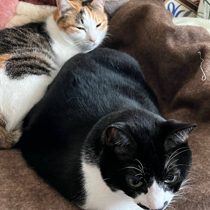 E154f163 060b 44cb 830c ce5b8359f2d5 1762900108538