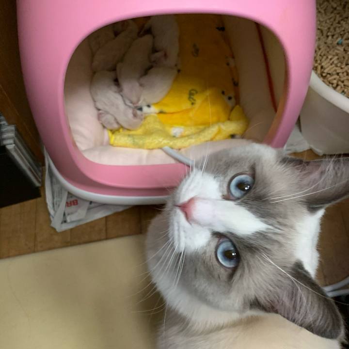 E1552dd4 6934 44f7 b283 90cacc9d7ad7 1638092262728