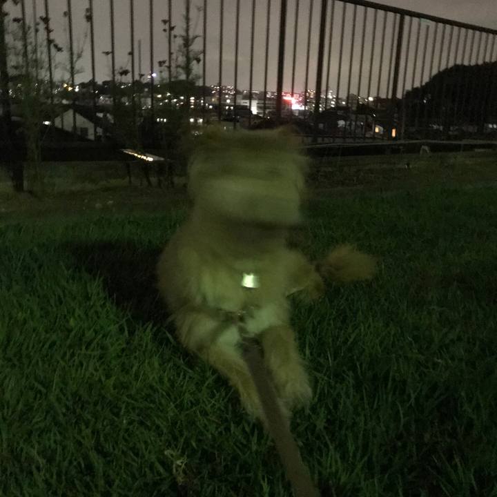 E1554e66 12c4 41bf 97b1 512ed7d75fd7 1532520409213