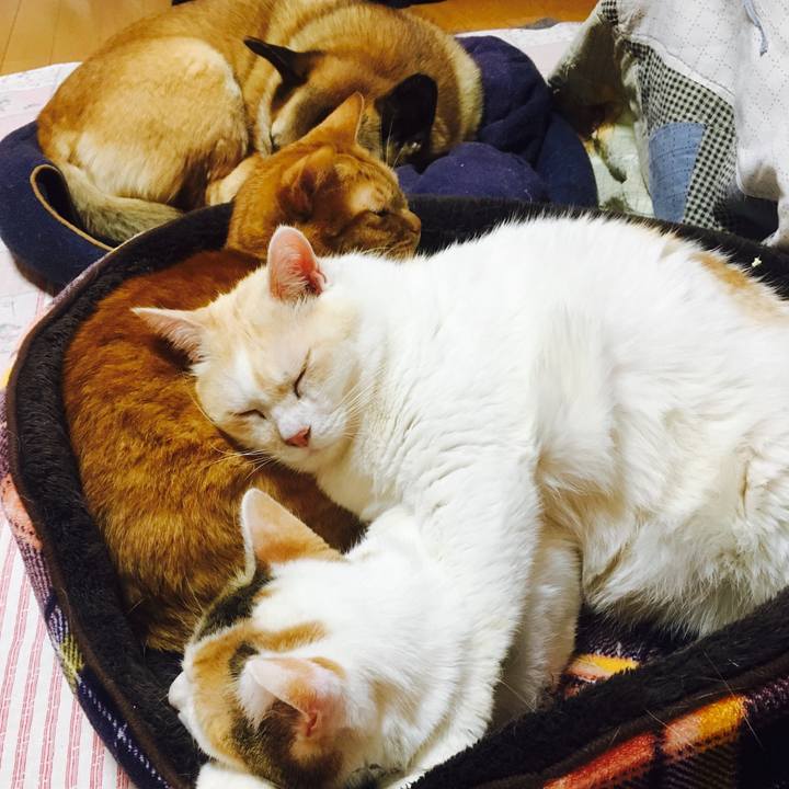 E155c378 dbda 48d1 89d4 873fe201546b 1515928683111