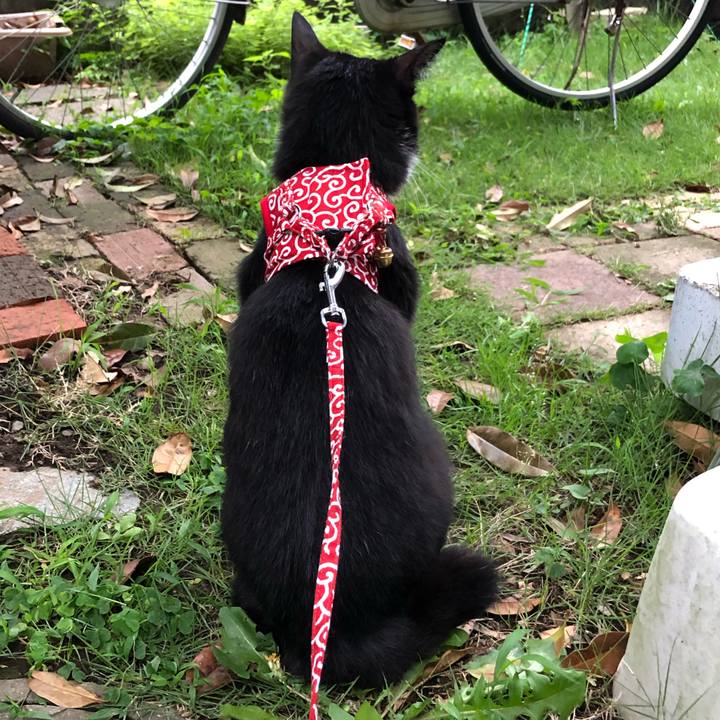 E155dba5 c318 4fa1 a35c e0f3b34facab 1564113259171