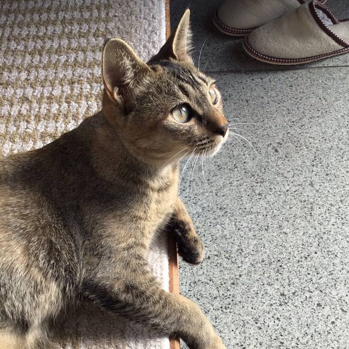 E155f67f f0fa 4498 be8b d2b3a7d4a0ff 1578272462173