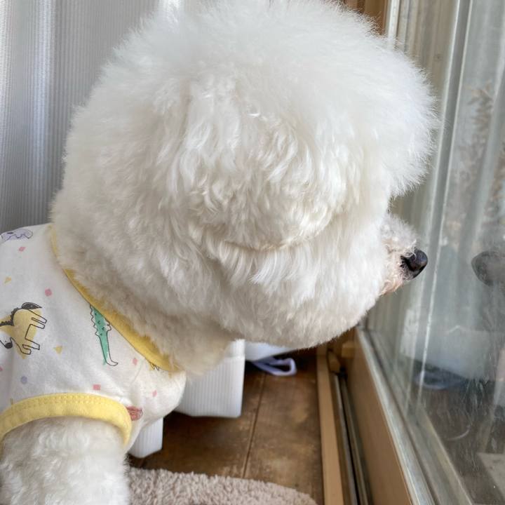 E155f7c1 f9d6 4123 9b7c 09e68098aa0f 1684918534428