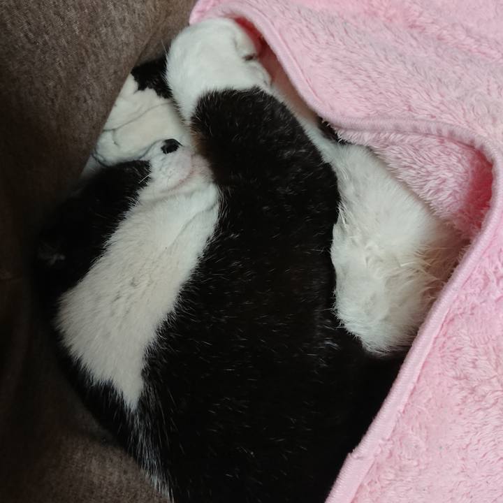 E1565740 6206 4897 8758 d51084bbca98 1607860905061