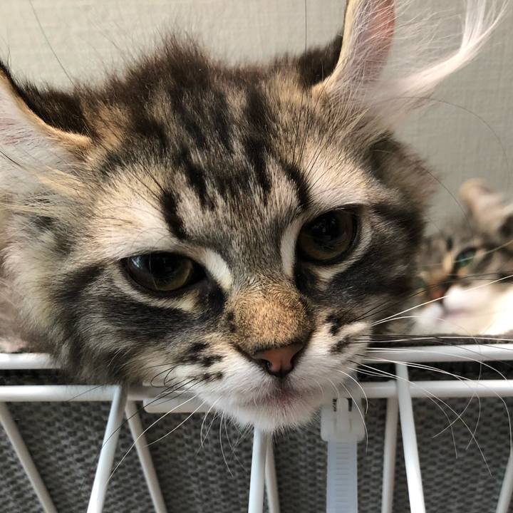 E156a392 8778 4d59 bf5b 7e712e8bc73c 1556955554867