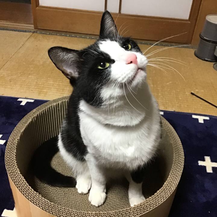 E156a477 55ea 4810 b8b2 7d8fa355ecde 1711271966180