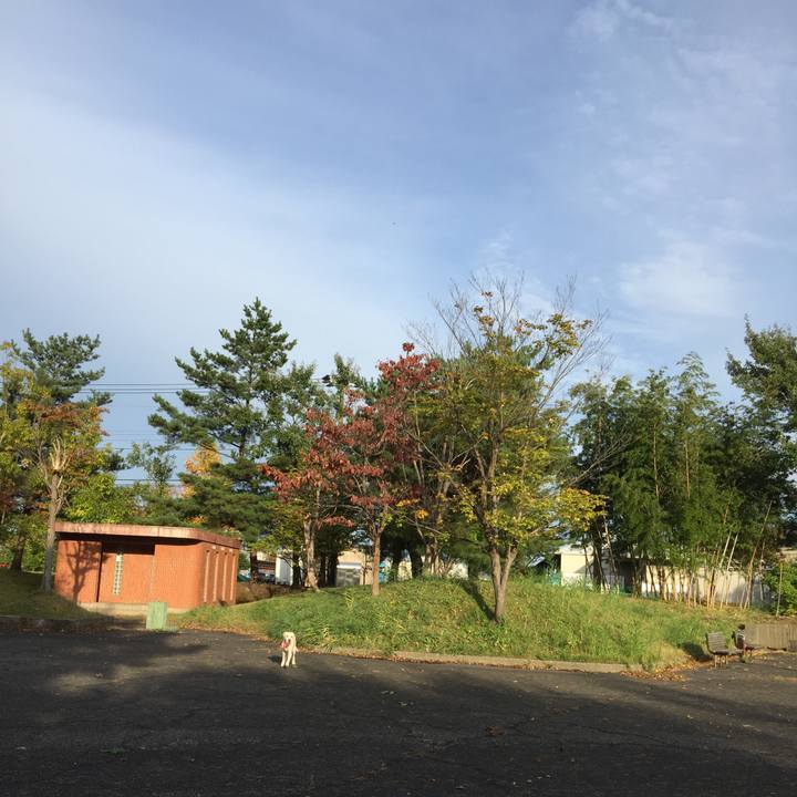 E156b8ee fecf 4418 a35c b3fe3b270048 1509520305251