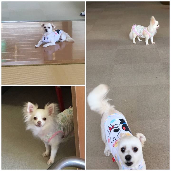 E156cc03 c576 48ee b748 b4adcb10c080 1533534043512