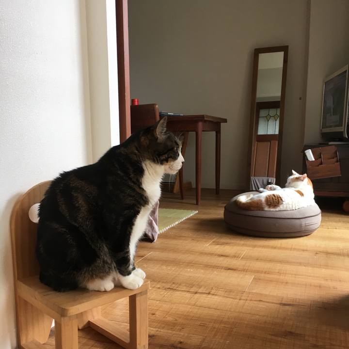 E156e5dc 9d44 4073 842d d0fd07708a0a 1529106648147