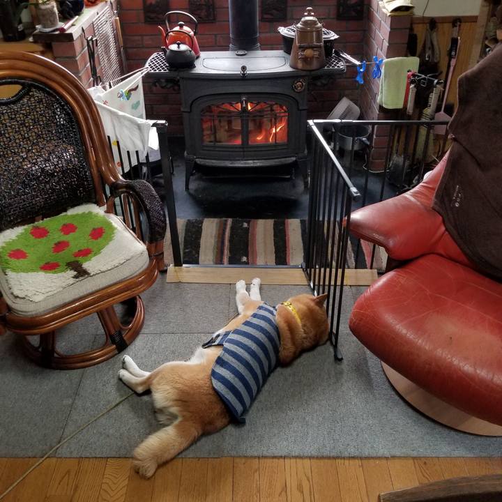 E156ede6 7a86 4705 8ce5 2c841b2e84f0 1673564563902