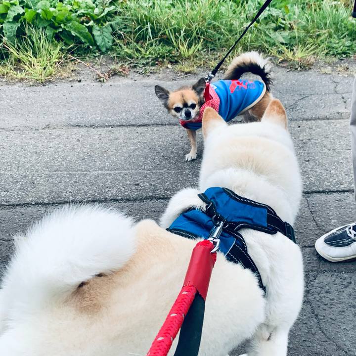 E15706dc 627c 45cf bfa9 e905c83edecc 1663275551101